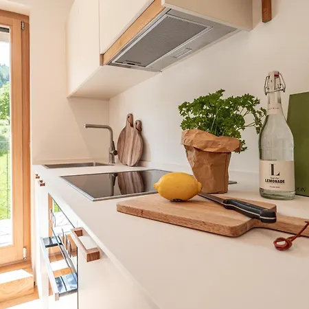 Stuub Apartment Todtnauberg
